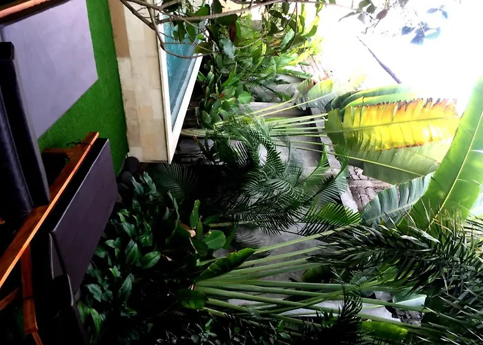 Kubu Kenak 2*